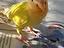 Immagine 1