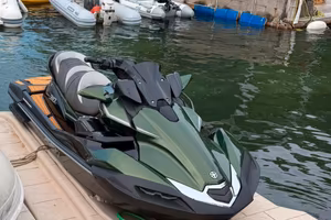 Kawasaki Jet Ski Ultra 310