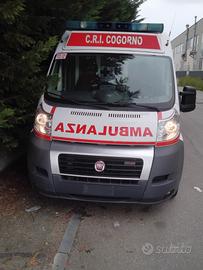 FIAT DUCATO ANJO 2013 MUSATA