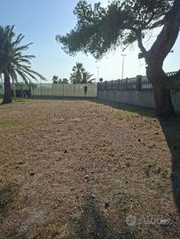 Oasi di mare a due passi da Cagliari 