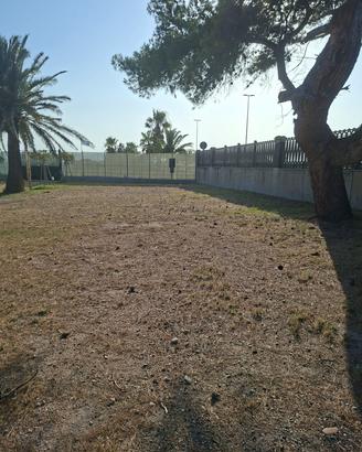 Oasi di mare a due passi da Cagliari 