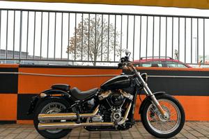 Harley-davidson Softail Standard 107