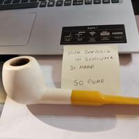 Pipa Brebbia in schiuma di mare