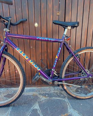 Mountain bike ragazzi