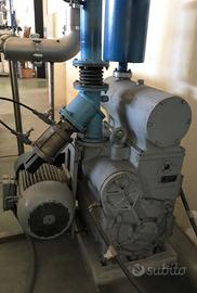 Pompe per il vuoto a pistoni