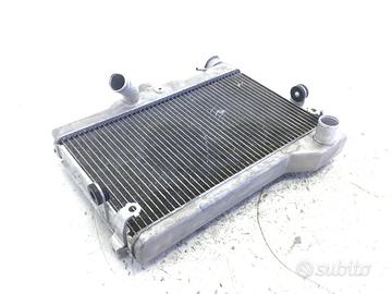 RADIATORE ACQUA LIQUIDO RAFFREDDAMENTO MOTORE YAMA