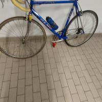 Bici Olmo New sintex  