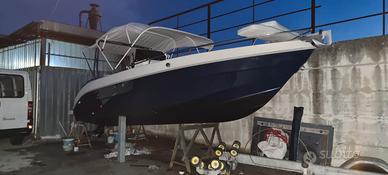 Gaia 220