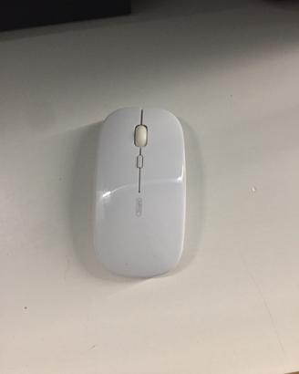 mouse