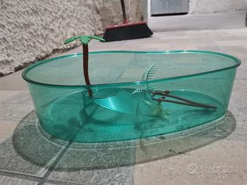 vasche per tartaruga marina