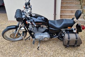 Harley Davidson  sportster XL 883 C custom