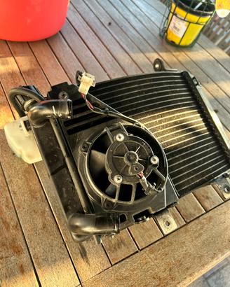Radiatore ktm Duke 2010 completo