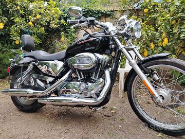 Harley Davidson 1200 custom 