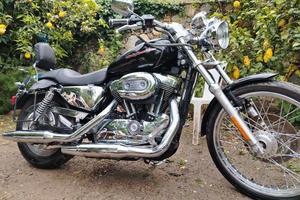 Harley Davidson 1200 custom 
