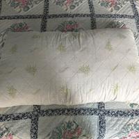 Guanciale Memory Foam Aloe Vera