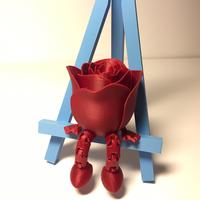 Rosa 3D
