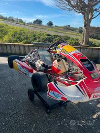 Birel s14 kz10c