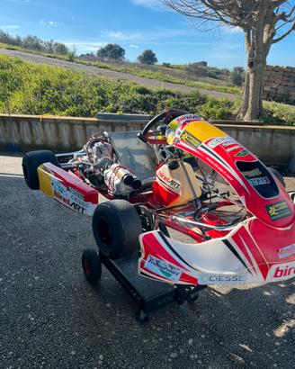Birel s14 kz10c