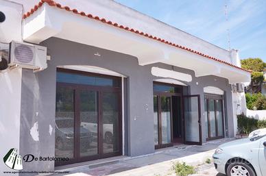 Locale commerciale in via Iris (Gandoli)