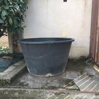 Vaso Grande in Plastica