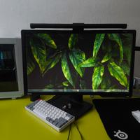 monitor Benq Zowie XL2411P