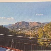 Bilocale con terrazzo