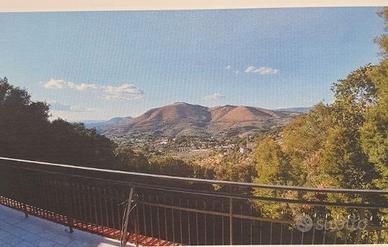 Bilocale con terrazzo