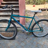 MTB Bianchi