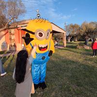 Mascotte Minions semi-professionale