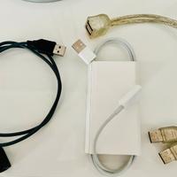 Prolunghe USB