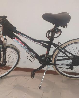 Bicicletta Zarma
