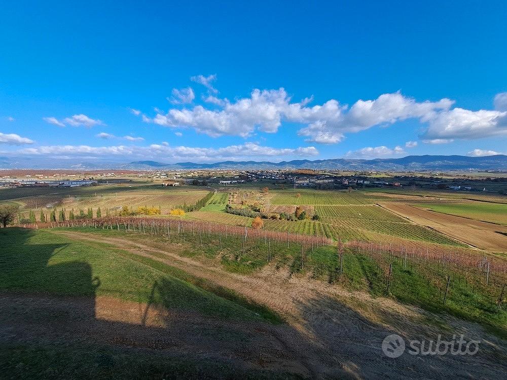 Azienda con vigneto Casale e Cantina Vinci - Vista 5