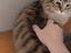 Immagine 3