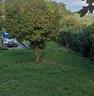 villa-di-60-m²-con-3-locali-a-carmignano