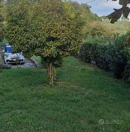 Villa di 60 m² con 3 locali a Carmignano