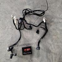 cablaggio per gsx-r 750 rapid bike e centralina SP