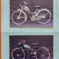 Moto BIANCHI AQUILOTTO E AZALEA cc 45