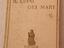 Immagine 1