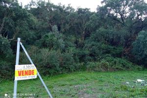 Iglesias - Terreno Agricolo