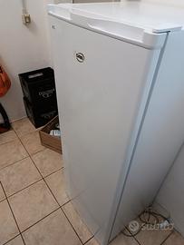 Freezer Daya verticale a scomparti