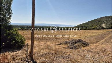 Terreno agricolo panoramico 4,5 ettari recintati