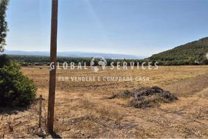 Terreno agricolo panoramico 4,5 ettari recintati