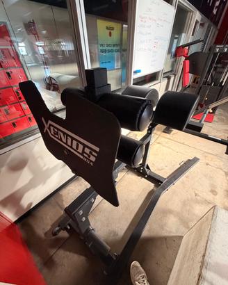 XENIOS Glute Ham Raise GHD Professionale