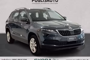SKODA Karoq 2.0 TDI SCR 115 CV Executive