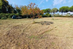 torre del lago terreno agricolo  1600 mq  