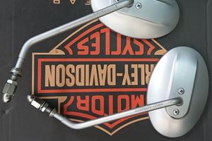 specchietti originali, vaschetta compensazi Harley
