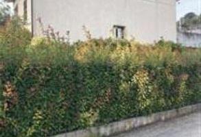 RGE 13/2023 - Tribunale di Urbino