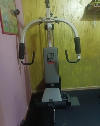 Palestra Weiderer