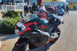 rsv 1000 
