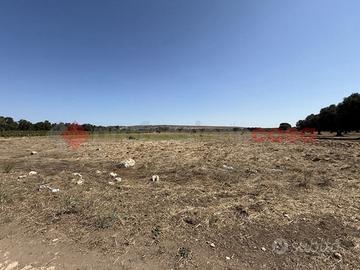 Terreno Agricolo Faggiano [Cod. rif 3259159VCG]